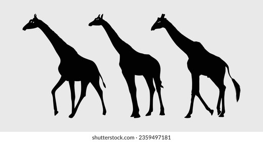 giraffe black silhouette, giraffe vector outline design, Giraffe vector black and white 