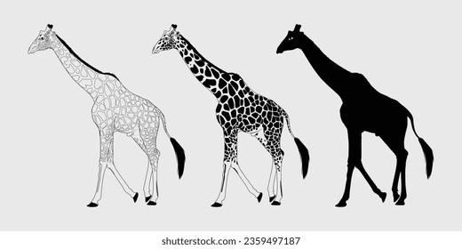 giraffe black silhouette, giraffe vector outline design, Giraffe vector black and white 