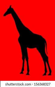 Giraffe black vector silhouette isolated on red background.