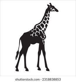 giraffe black and white vector illustration 