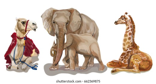 Giraffe, camel, elephants, on a white background.Vector illustration, graphics, art