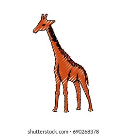 Giraffe cartoon animal