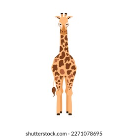 Giraffe cartoon character standing in front position, flat vector illustration isolated on white background. African savanna giraffe or camelopard character.