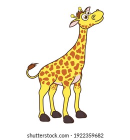 Giraffe. Cartoon character young Giraffe isolated on white background. Template of cute african animal. Education card for kids learning animals. Suitable for decorate. Vector design in cartoon style