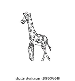 Giraffe Cartoon Characters On Kids Coloring book High-Res Vector, coloring book, coloring page, vector line art
