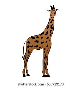Giraffe in a cartoon style, is isolated on white background. easy to use.