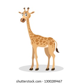 giraffe cartoon vector illustration