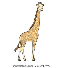 Giraffe cartoon, vector illustration, giraffe icon isolated on white background.
