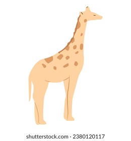 Giraffe cartoon-style, flat vector illustration isolated on white background. African animal with long neck, animal design.