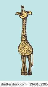 giraffe character. Hand-drawn color vector illustration for children`s book