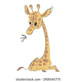 giraffe characters isolated on white background.