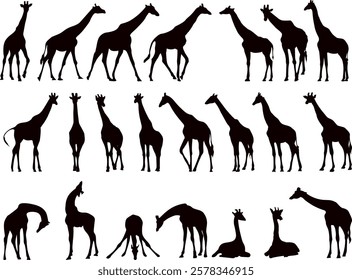 giraffe collection, set black silhouette vector