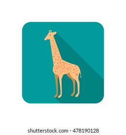 Giraffe color flat icon