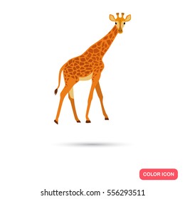 Giraffe color flat icon for web and mobile design