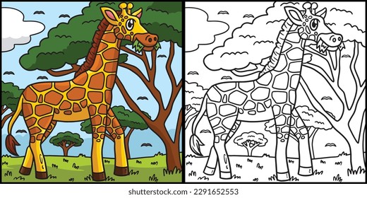 Giraffe Coloring Page Colored Illustration