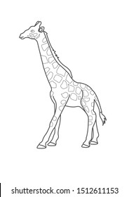 Giraffe Coloring Page For Kids. Giraffe Coloring worksheet  game or giraffe cartoon coloring page vector
