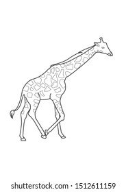Giraffe Coloring Page For Kids. Giraffe Coloring worksheet  game or giraffe cartoon coloring page vector
