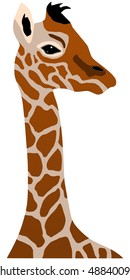 giraffe cub