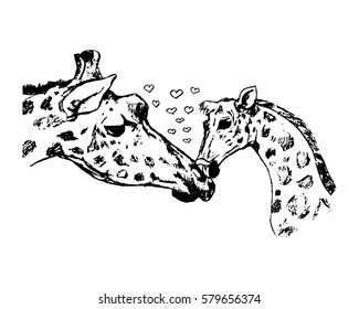 giraffe with cub vector illustration on white background
