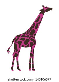 giraffe design over white background vector illustration