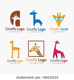 Giraffe Design Template. Wild animal vector illustration