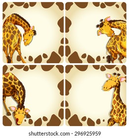 Giraffe in different positions on blank card