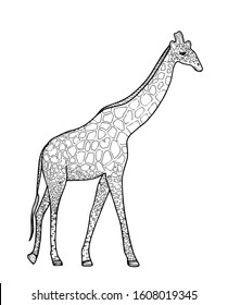 Giraffe in doodle style isolated on white background. Exotic african animal. Sign vector outline illustration. Coloring book for adult and kids. Anti stress art. Design school child education. Print.