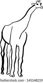 Giraffe drawing hand made with brush and Chinese ink. Vector