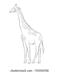 Giraffe Drawing Vector Illustration