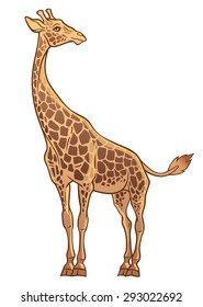 giraffe, giraffe drawn in vector