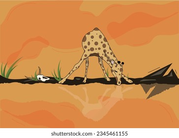 Giraffe drinking water, vector art, sunset sky