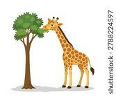 Giraffe eating leaves from a tree