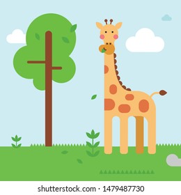 Giraffe eating leaves from a tree