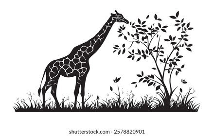 A giraffe is eating leaves from a tree