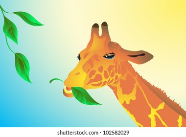 The giraffe eats green leaves against the blue sky and the tropical sun. Vector. EPS 8