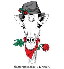 Giraffe in Elegant hat with red rose. Vector illustration.