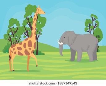 giraffe and elephant african animals wild in the camp vector illustration design