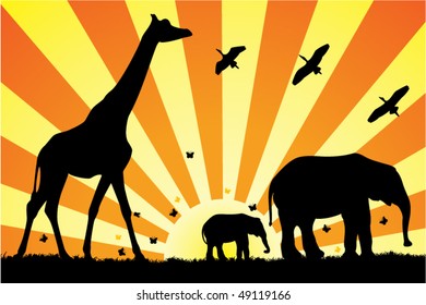 giraffe and elephants in africa