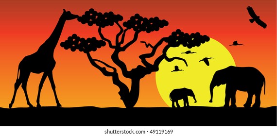 giraffe and elephants in africa