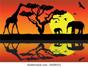 giraffe and elephants in africa near water