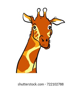Giraffe emotions color vector sketch in cartoon style. Giraffes head with neck isolated on white background. Giraffes face drawing