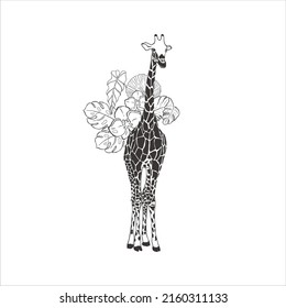 Giraffe with exotic flowers on white background. Vector Wild Animal. Safari.