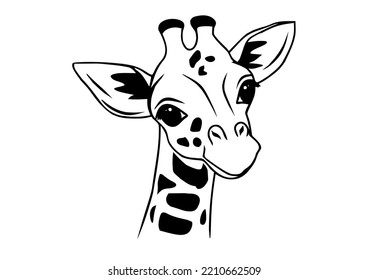 Giraffe face, isolated on white