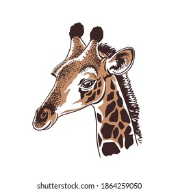 Giraffe face portrait, hand drawn vintage style, vector sketch illustration. Graphics, giclee. Realistic animal with a smile