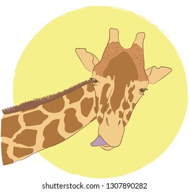 Giraffe Face With Tongue