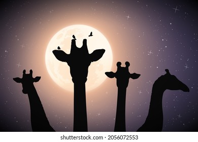 Giraffe family. Funny animal head silhouette. Full moon in night sky