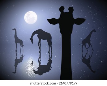 Giraffe family. Funny animal head silhouette. Full moon in night sky