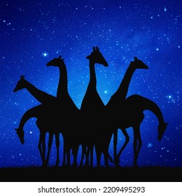 Giraffe family. Funny animal herd silhouette. Night blue starry sky