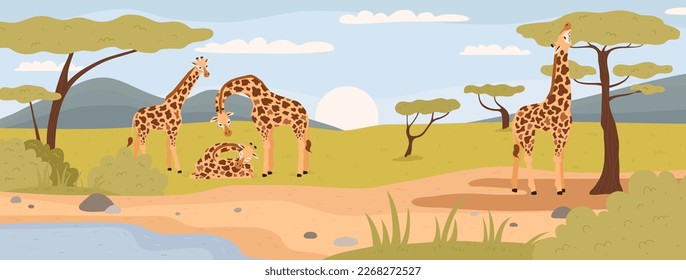 Giraffe family in natural habitat, flat vector illustration. African savannah scenery or horizontal background with giraffe graze in the meadow between trees.