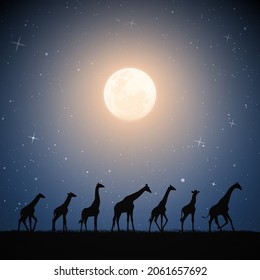 Giraffe family in savannah. Animal silhouette. Full moon in night sky